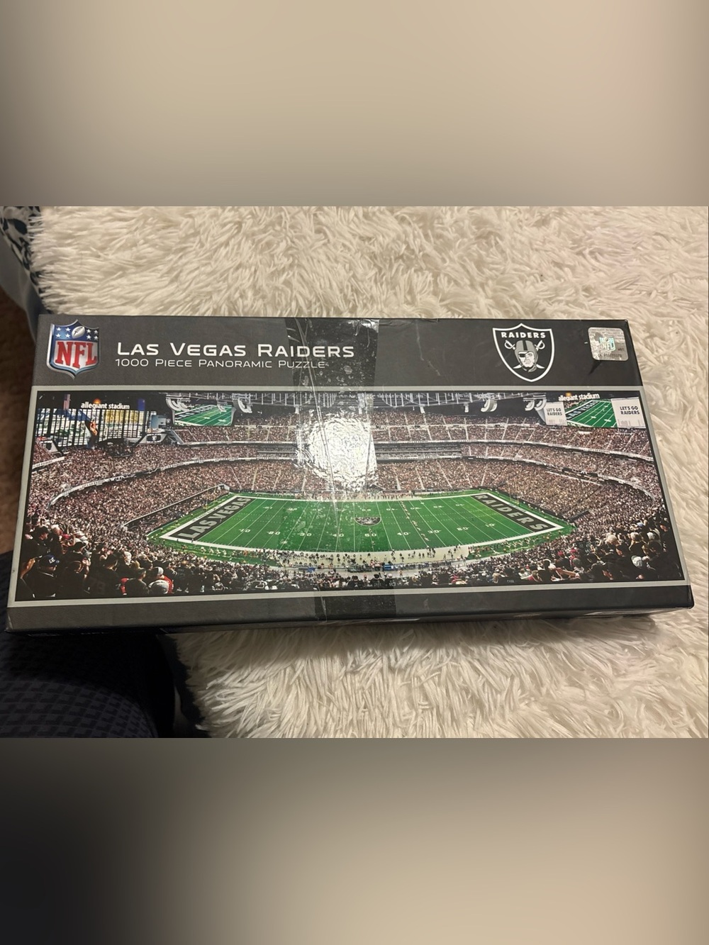 MasterPieces Las Vegas
Raiders 1000-Piece Panoramic Jigsaw Puzzle